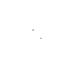 ScaleX logo icon